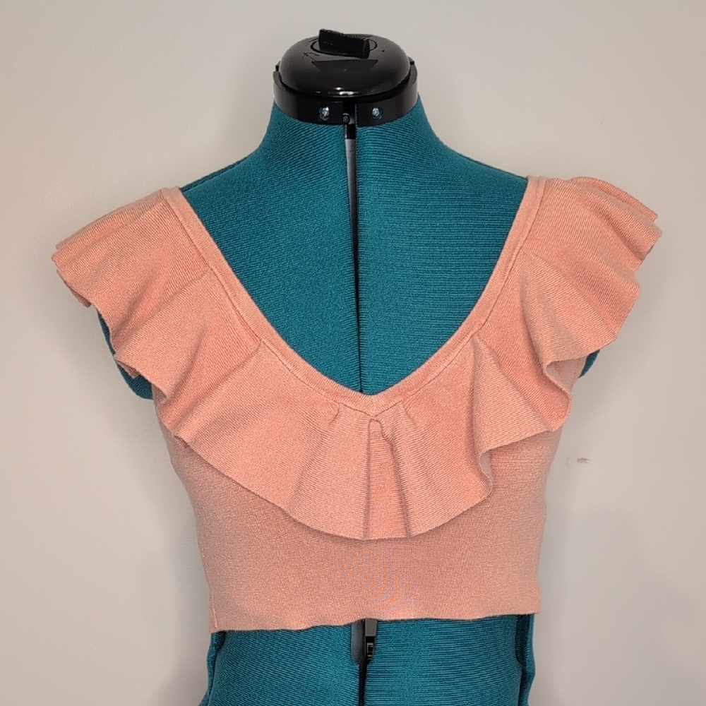 Express Dusty Rose Ruffle Crop V Neck Sweater